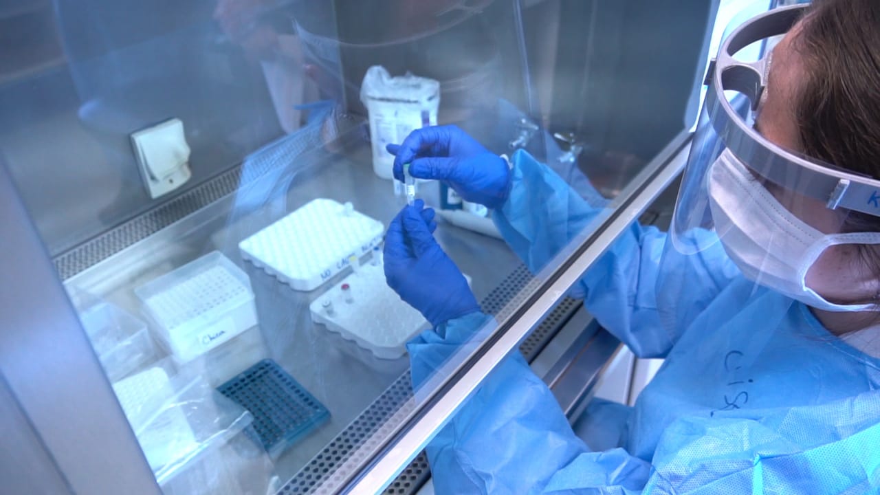 Explican detención en análisis de los PCR en Los Ángeles: «Fue una mantención»