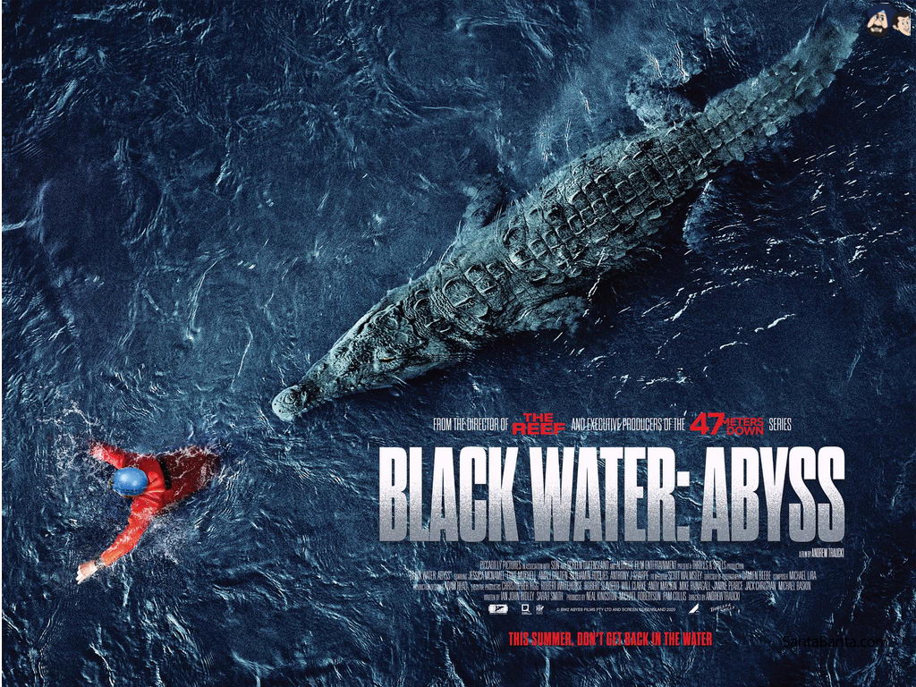 El Cinematógrafo de Leo: Black Water: Abyss (2020)