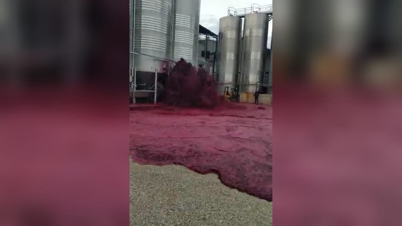 Depósito estalla y envía 50 mil litros de vino tinto a la basura