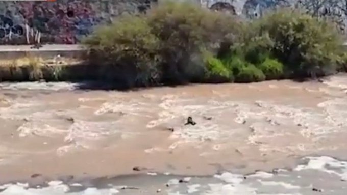 Sujeto se lanzó al río para evadir detención tras robo