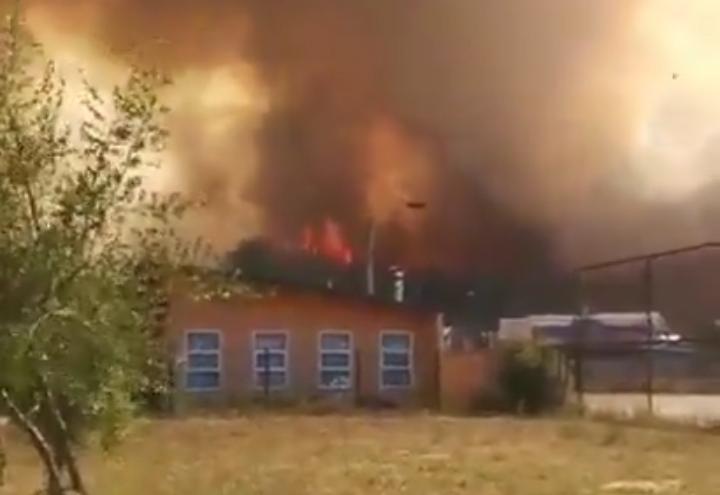 Onemi solicitó evacuación del sector Villa Esmeralda en Purén por incendio forestal