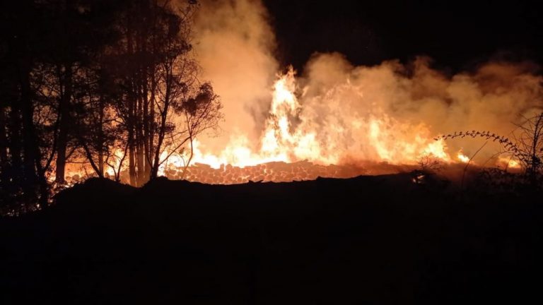 Los Ángeles: Incendio de proporciones afecta a instalaciones forestales