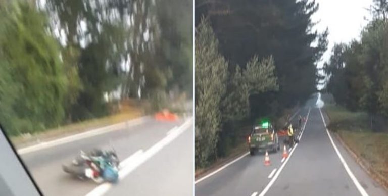 La Araucanía: motorista falleció tras chocar con un árbol caído en la ruta
