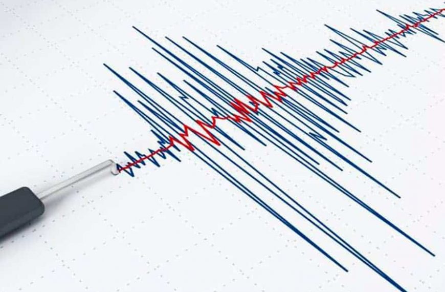 sismo afecta region del biobio