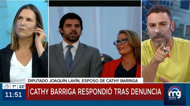 Lavín Jr llamó a Mega para quejarse por reportaje sobre Cathy Barriga: revisa el tenso cruce con Neme