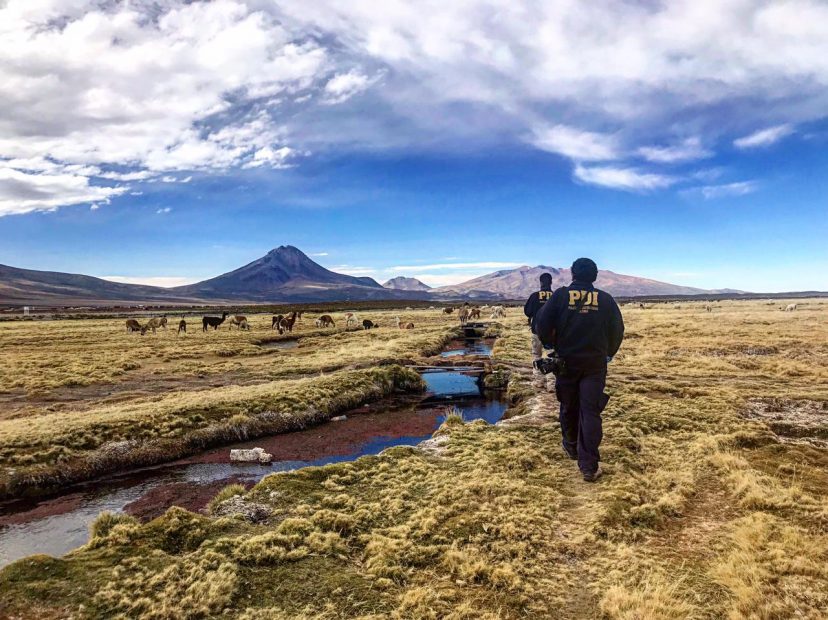 PDI Tarapacá Iquique investiga la muerte de una extranjera en la frontera con Bolivia