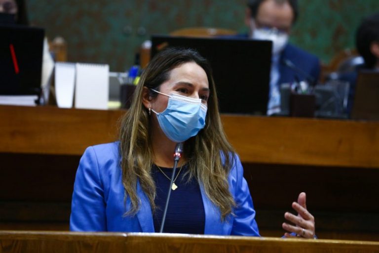 Diputada Joanna Pérez: “El proyecto de apoyo a las pymes es insuficiente”