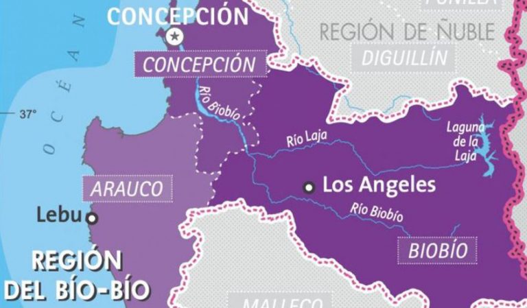 Viernes 23 de julio: Reporte de casos por comunas en el Biobío
