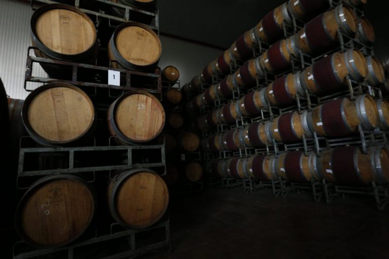 ¡Salud! Producción de vinos en el país aumentó un 29,9% en 2021