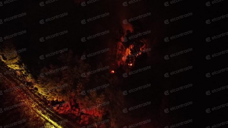 Incendio en El Arrayán afectó 1 hectárea: Bomberos llama a la precaución