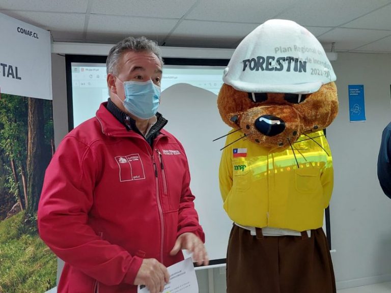Gobierno presenta plan de prevención de incendios forestales en el Biobío