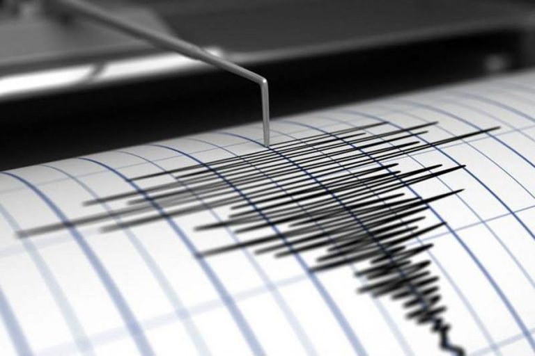 Un sismo fue percibido entre las regiones de Biobío y La Araucanía