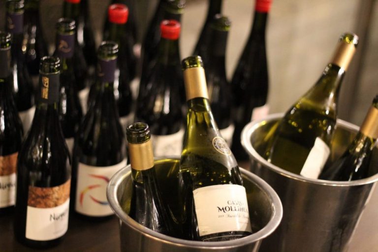 Valle del Itata celebró el día del vino chileno con espectacular cata en Vitacura
