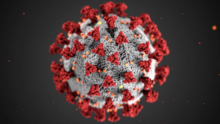 Confirman primer caso de variante Ómicron de coronavirus en Chile