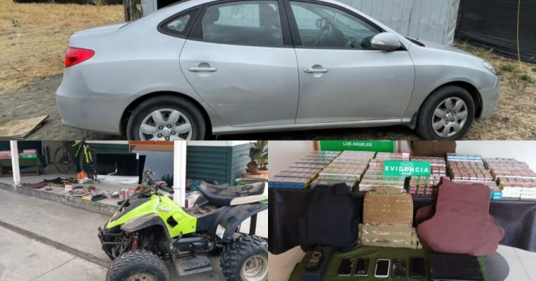 Pareja es detenida con vehículos y especies robadas en Los Ángeles