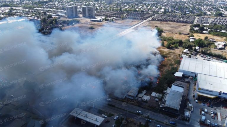 Incendio de proporciones afectó a sitio eriazo al lado de Sodimac Los Ángeles