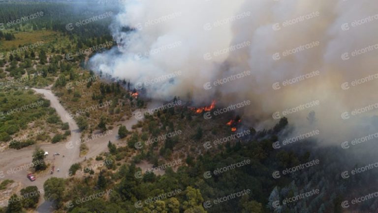 Incendio forestal fuera de control camino a Santa Bárbara lleva 20 hectáreas