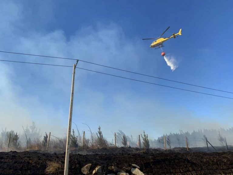 Declaran Alerta Roja en Mulchén por incendio forestal