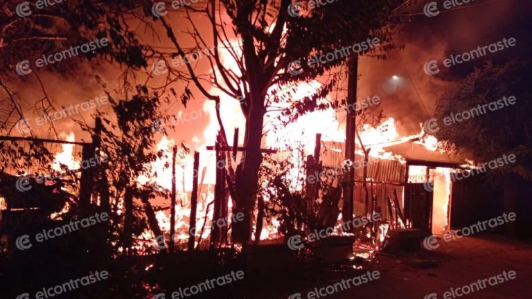 Dos viviendas quedaron destruidas por un incendio en Los Ángeles