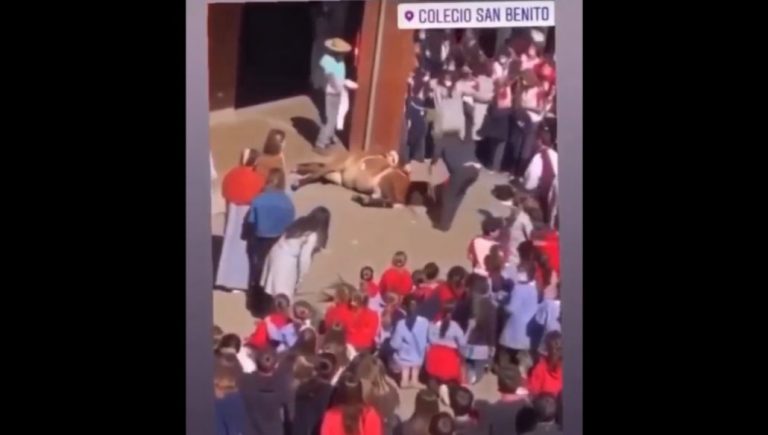 ¡Indignante!: Denuncian maltrato animal en acto de Semana Santa en colegio de Vitacura