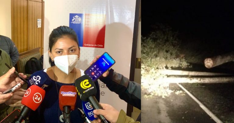 Paulina Purrán y cortes de ruta en Alto Biobío: «condeno estos actos de violencia»