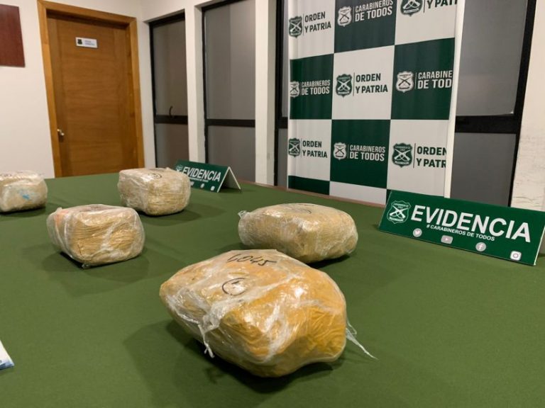 Perrita detectora de drogas encuentra 5 kilos de marihuana en Mulchén