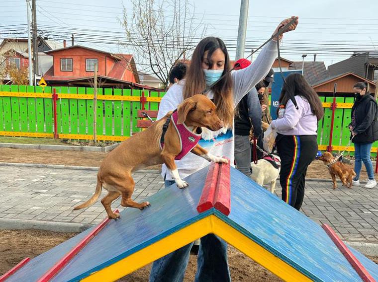 ¡Guaaau! Los Ángeles ya cuenta con su segundo parque canino