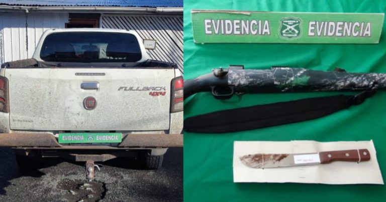 Banda dedicada al abigeato fue detenida en Cabrero: Atropellaron a un Carabinero
