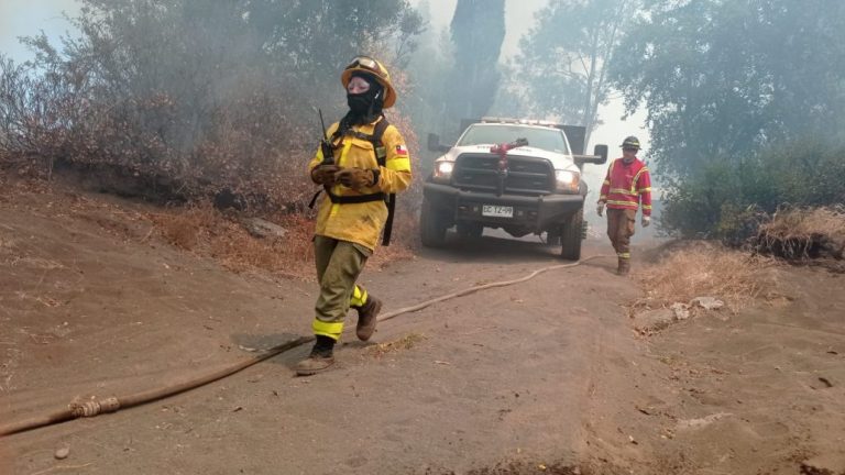 Los Ángeles: Peligroso incendio forestal moviliza al avión de Conaf a Rarinco