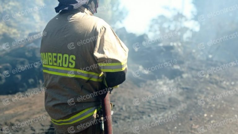 Los Ángeles: Mujer fue detenida tras provocar un incendio forestal en Santa Fe