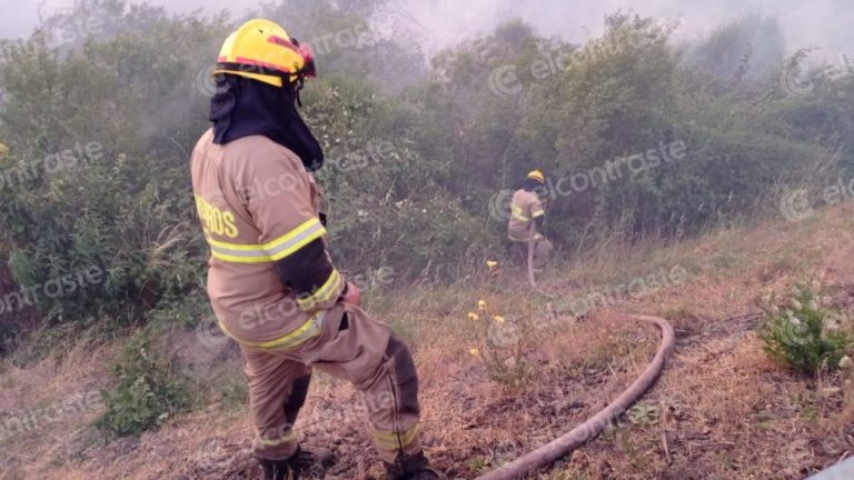 Incendios forestales en Biobío: cancelan una alerta roja y 4 se mantienen