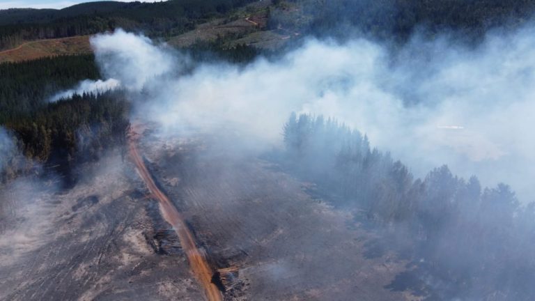 Alerta roja en Nacimiento por incendio forestal: amenaza inminente a 50 viviendas