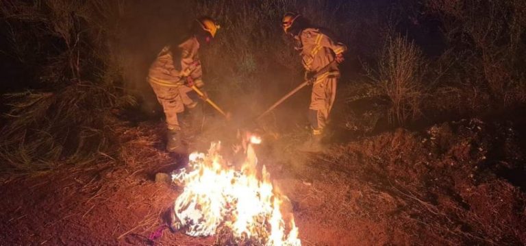 Hasta menores de edad: Bomberos de Mulchén acusan intencionalidad en diversos incendios