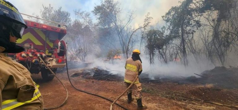Incendio afectó casi 12 hectáreas de rastrojo y trigo en Mulchén