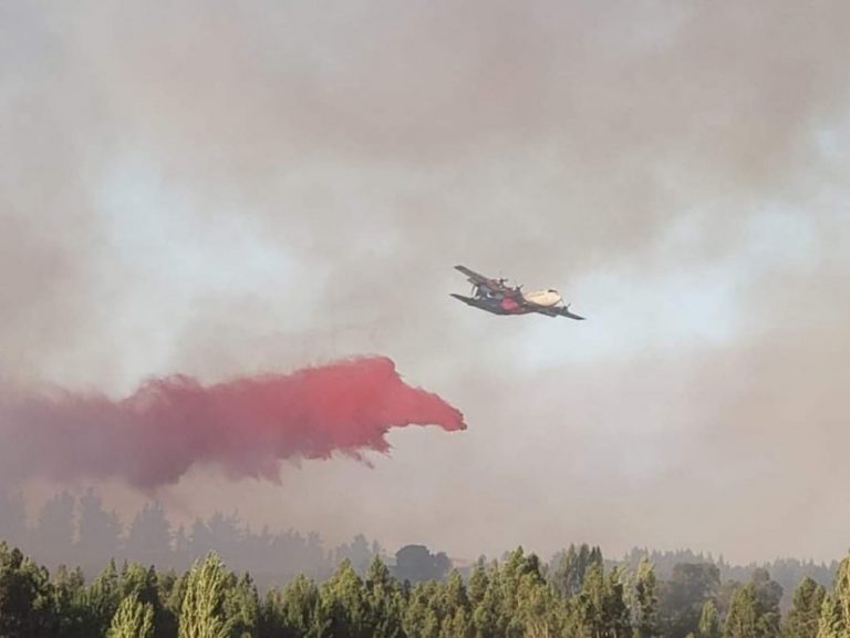 Cancelan Alerta Roja en Yumbel tras incendio: 109 hectáreas fueron afectadas