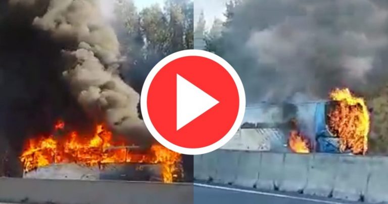 Bus interprovincial se incendió en la ruta Concepción – Cabrero