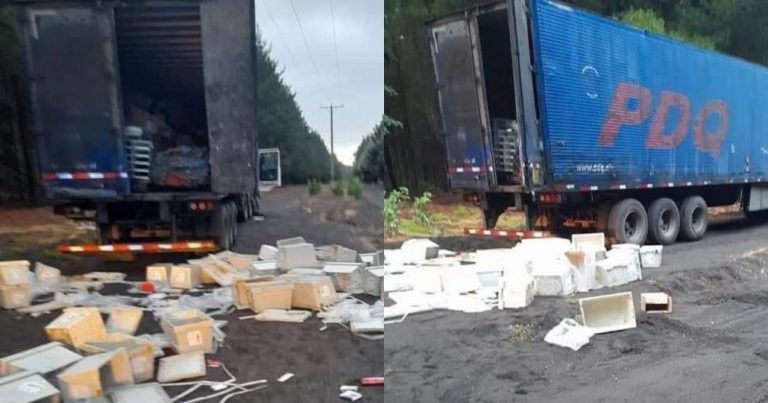 Cabrero: Banda criminal interceptó camión en la Ruta 5 para robar su carga