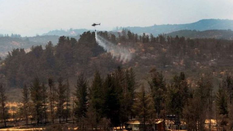 Conaf y alerta por incendios forestales en la provincia “el llamado es a evitar las prácticas inapropiadas”