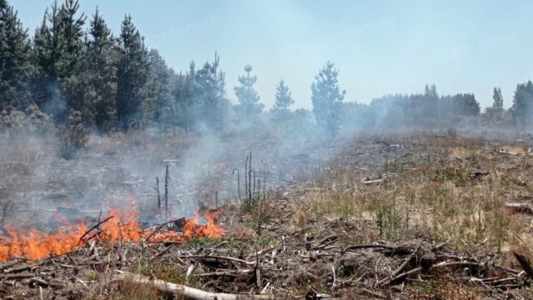 Los Ángeles: incendio en sector La Montaña consumió más de 150 hectáreas