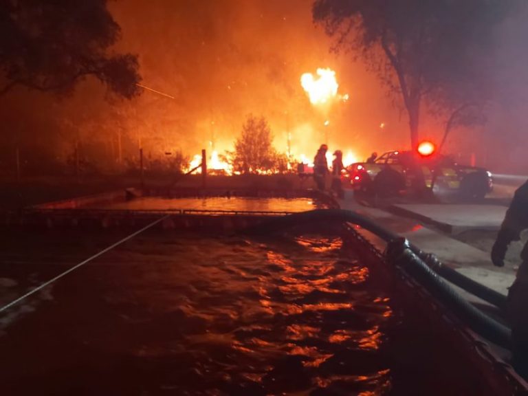 Los Ángeles: incendio forestal no controlado ha destruido casas en sector rural de Paraguay