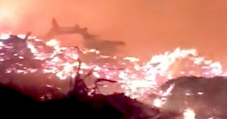 Ataque incendiario en la Araucanía provoca incendio forestal