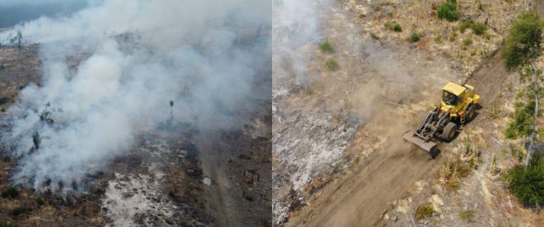 Vecina de Los Molinos por incendio forestal: «Familias enteras han quedado sin nada»