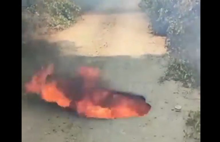Alerta por incendio forestal en Quillón: registro muestra impactante ‘fuego subterráneo’