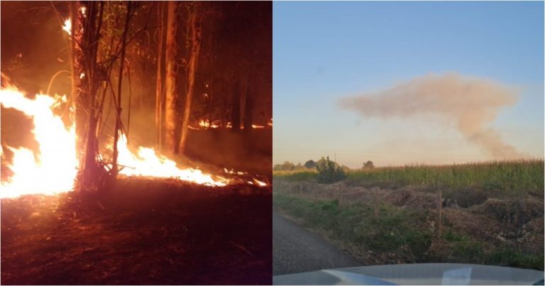 Los Ángeles: Incendio en el sector Dicahue se mantiene activo