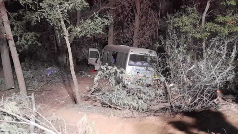 Minibus sufrió corte de sus frenos e impactó con árboles en Angol: 15 lesionados