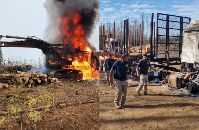 PDI confirma 11 maquinarias forestales destruidas en ataque incendiario en Lumaco￼
