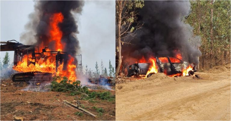 Violencia en la Macrozona Sur: Encapuchados incendian maquinaria en faena en Lumaco