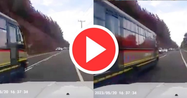 «Criminal al volante»: Video revela peligroso adelantamiento de bus en la Ruta de la Madera