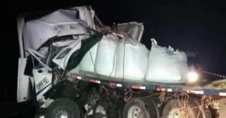 Colisión de camiones deja un muerto en la Ruta 5 Sur a la altura de Brigada Forestal