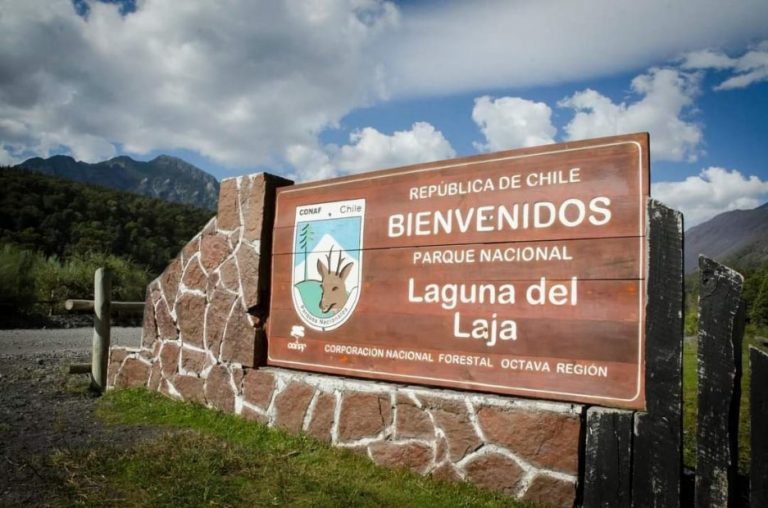 Parque Laguna del Laja reabre sus puertas este próximo sábado a los visitantes